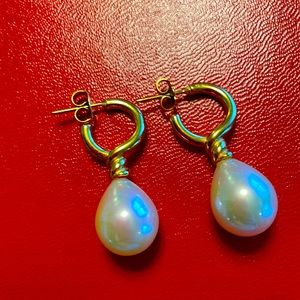 Metropolitan Museum of Art earrings